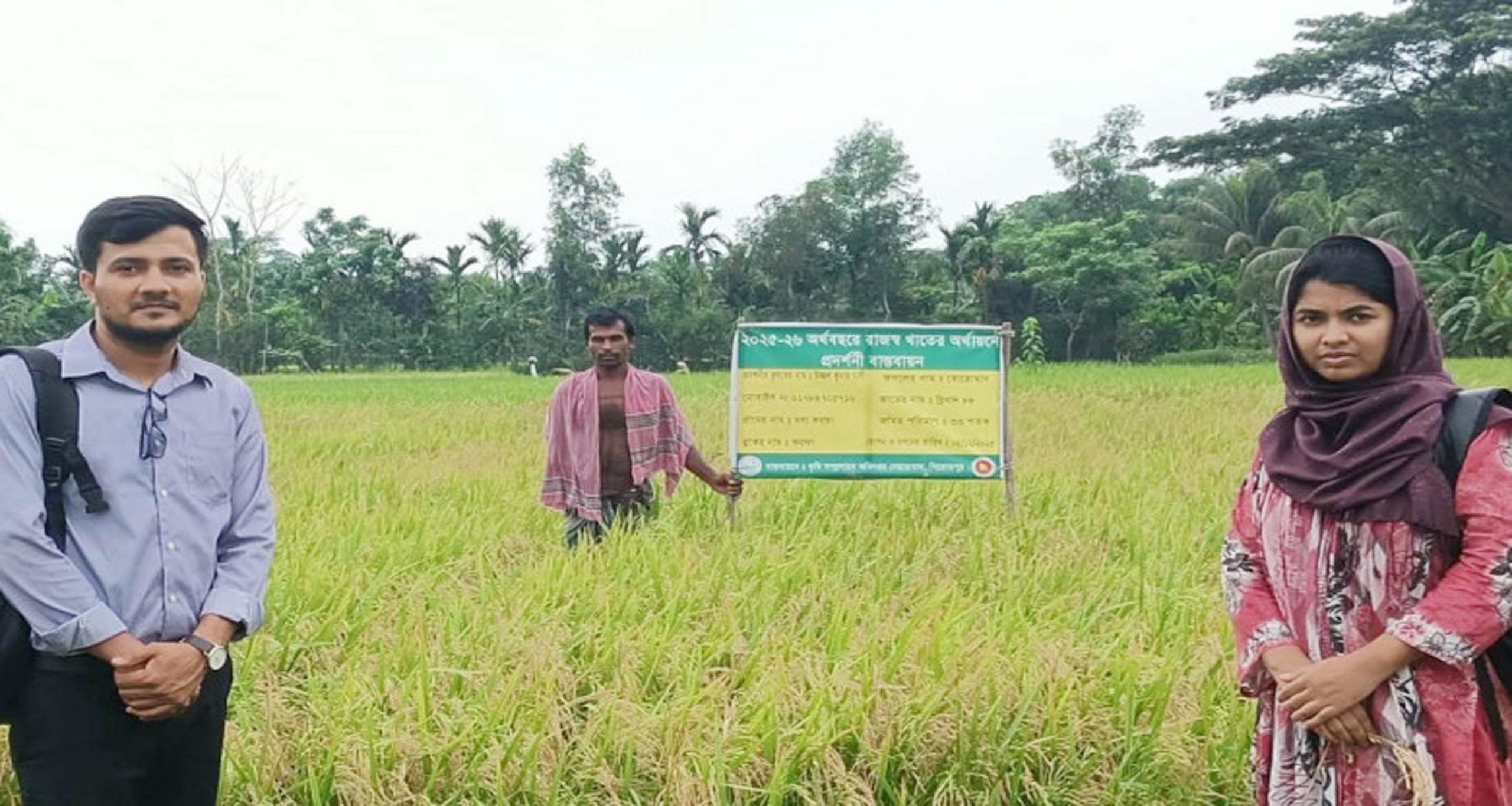 নেছারাবাদে ডিজেল সংকট কাটিয়ে স্বস্তিতে কৃষক, সেচে ফিরেছে গতি