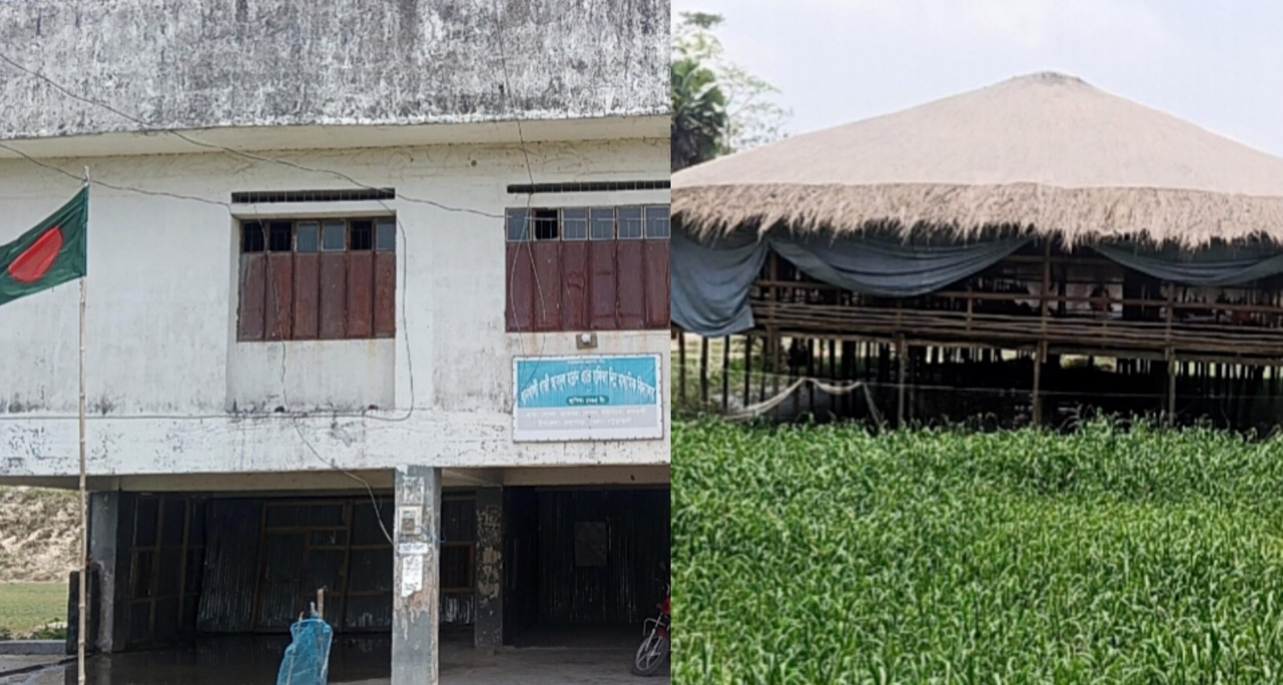 কলাপাড়ায় বিদ্যালয়ের পাশে ব্রয়লার খামার, দুর্গন্ধে অতিষ্ঠ শিক্ষার্থীরা