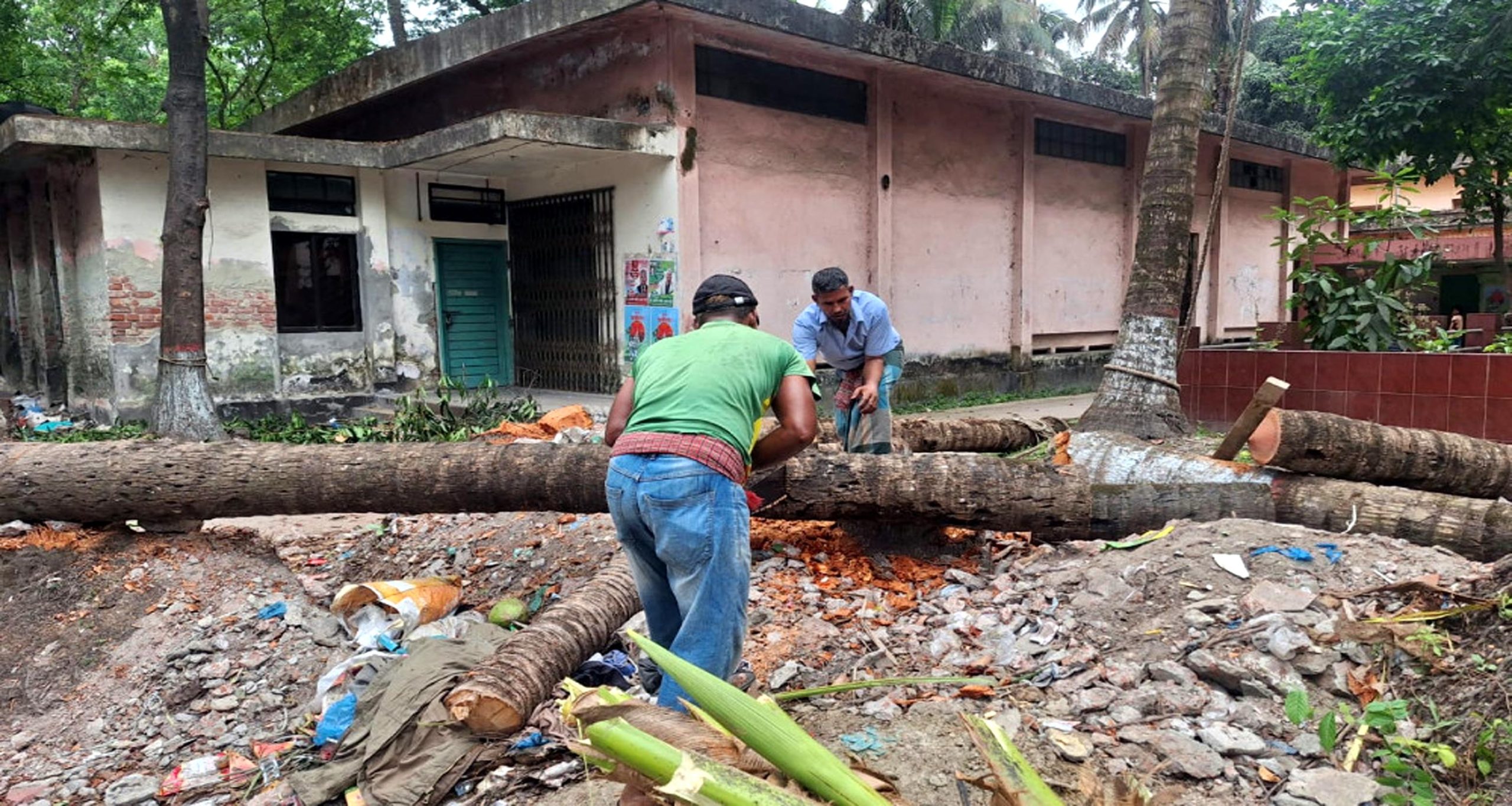৪০ বছরের ছায়া সরালো করাত : বরিশাল জেলা শিক্ষা অফিসে ৫ গাছ কর্তন
