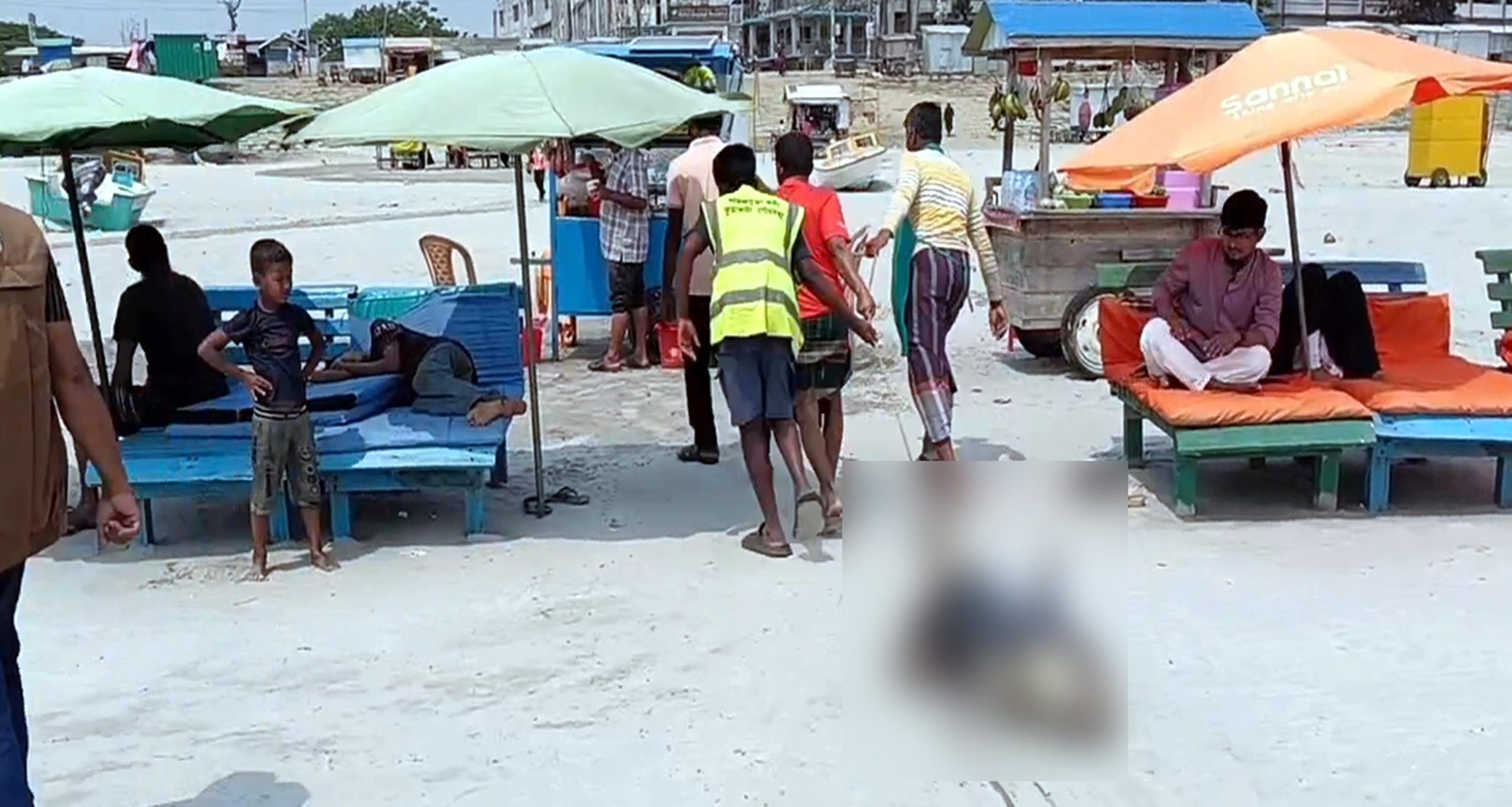 কুয়াকাটা সমুদ্রসৈকতে ভেসে এলো মৃত ইরাবতী ডলফিন
