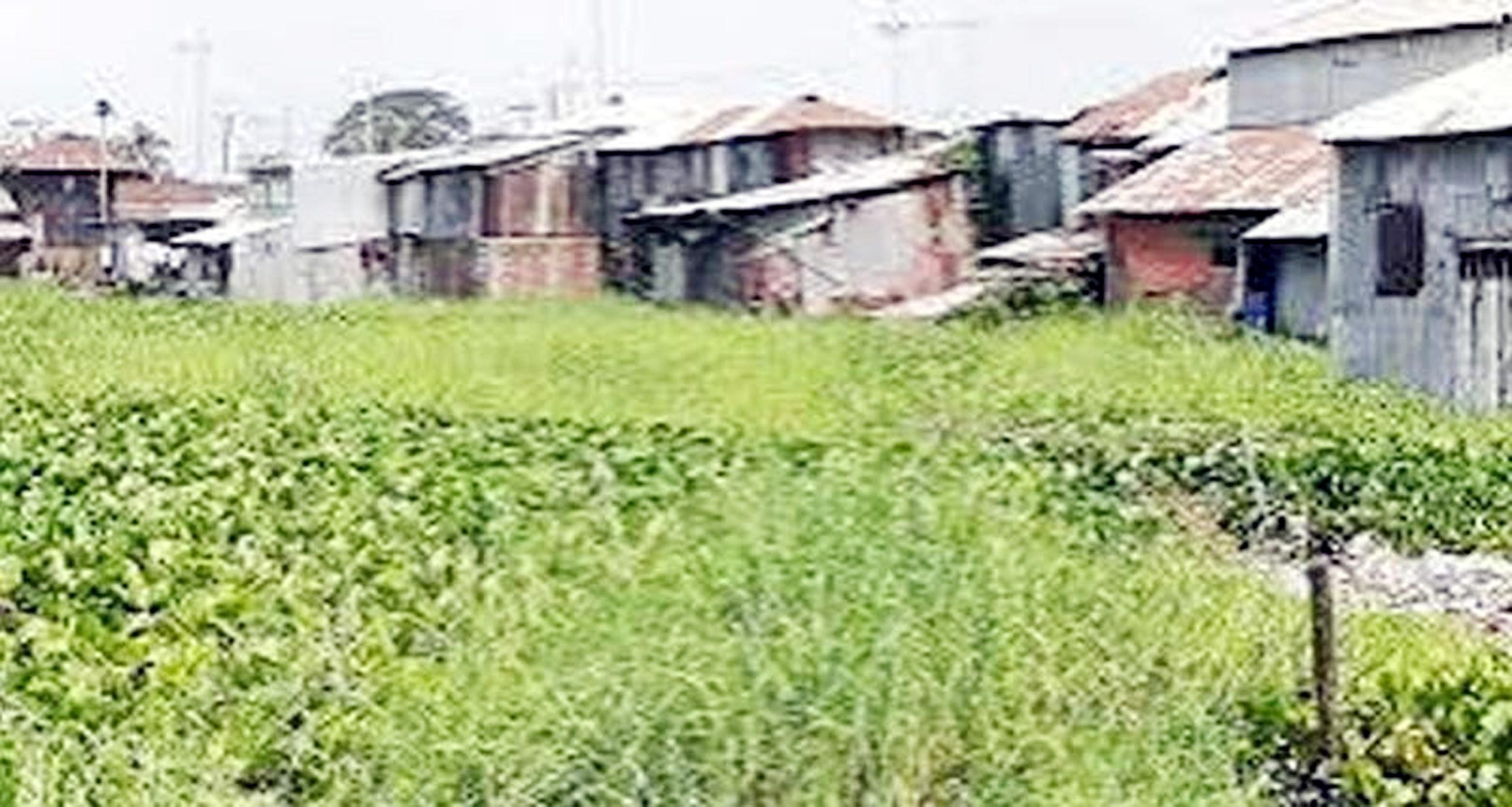 বরগুনায় খাল দখল ও ভরাট : ২০টি খাল পুনঃখননের দাবি