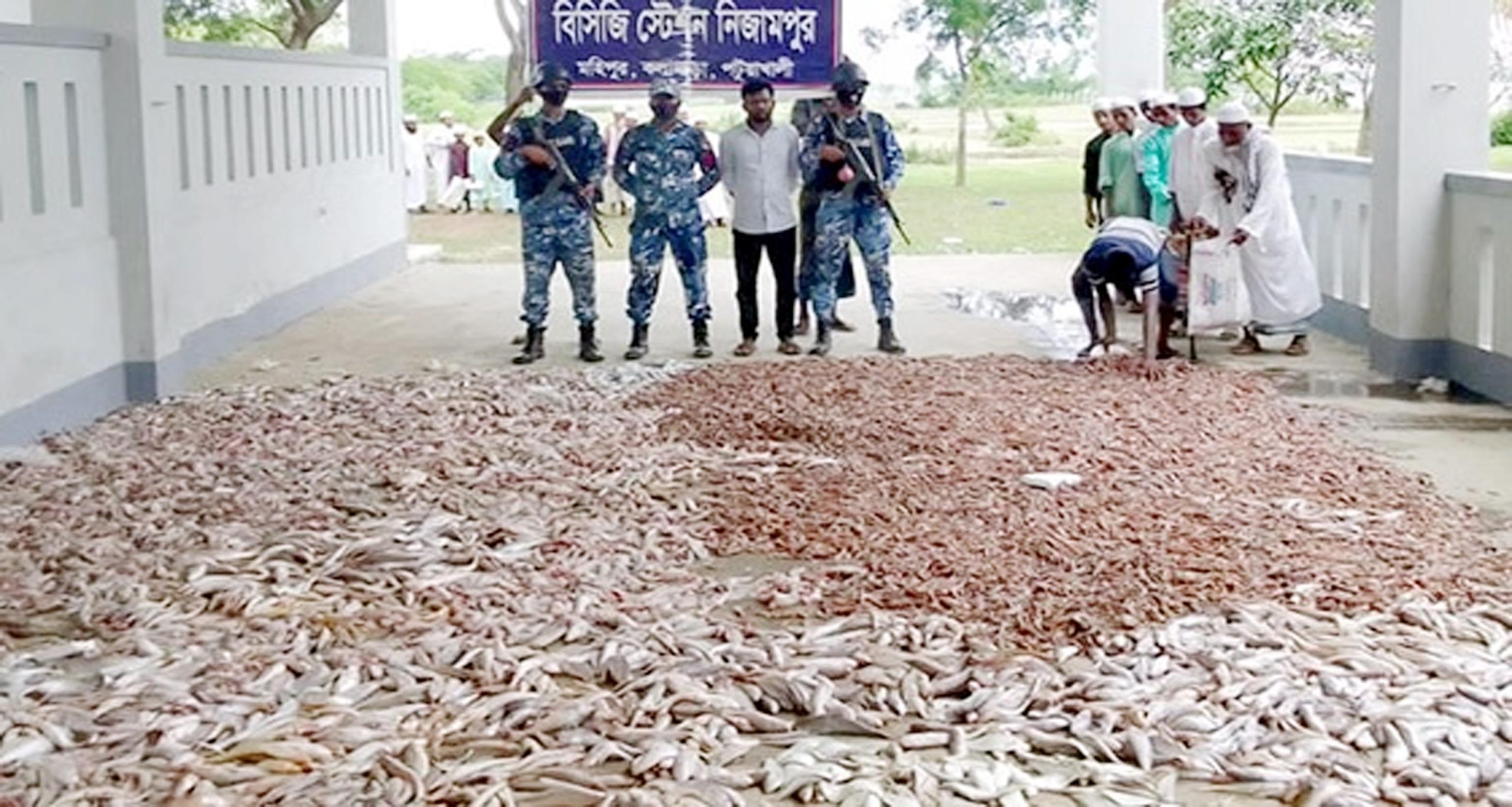 কলাপাড়ায় সাড়ে দশ হাজার কেজি সামুদ্রিক মাছ জব্দ