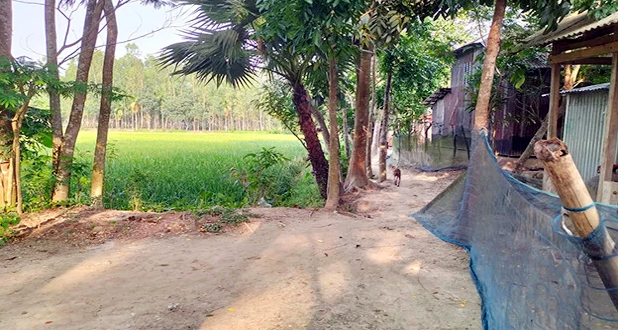 রাস্তার অভাবে দুর্ভোগে ২৫০ পরিবার!