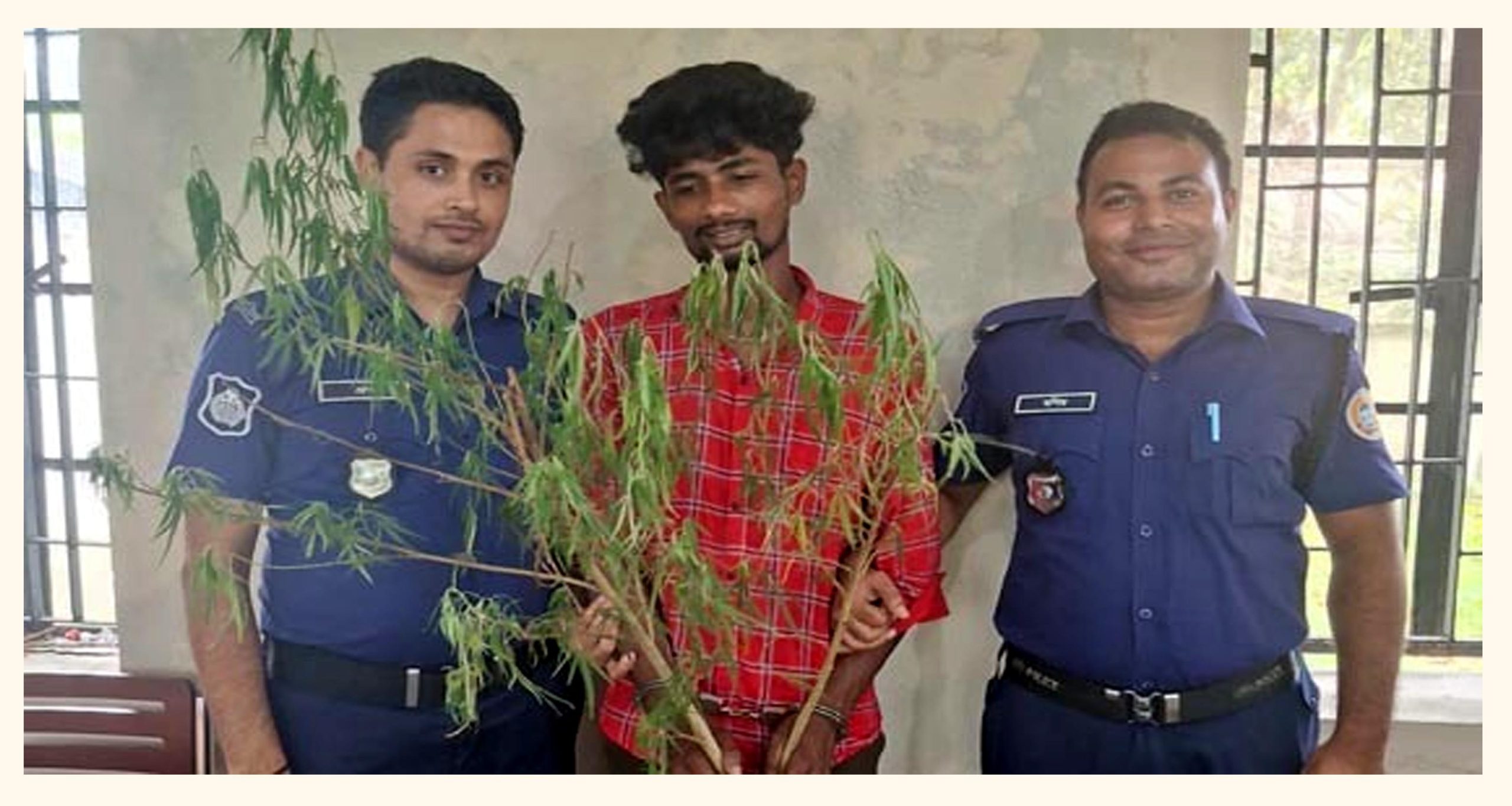 কাউখালীতে গাঁজা গাছসহ মাদক ব্যবসায়ী গ্রেফতার