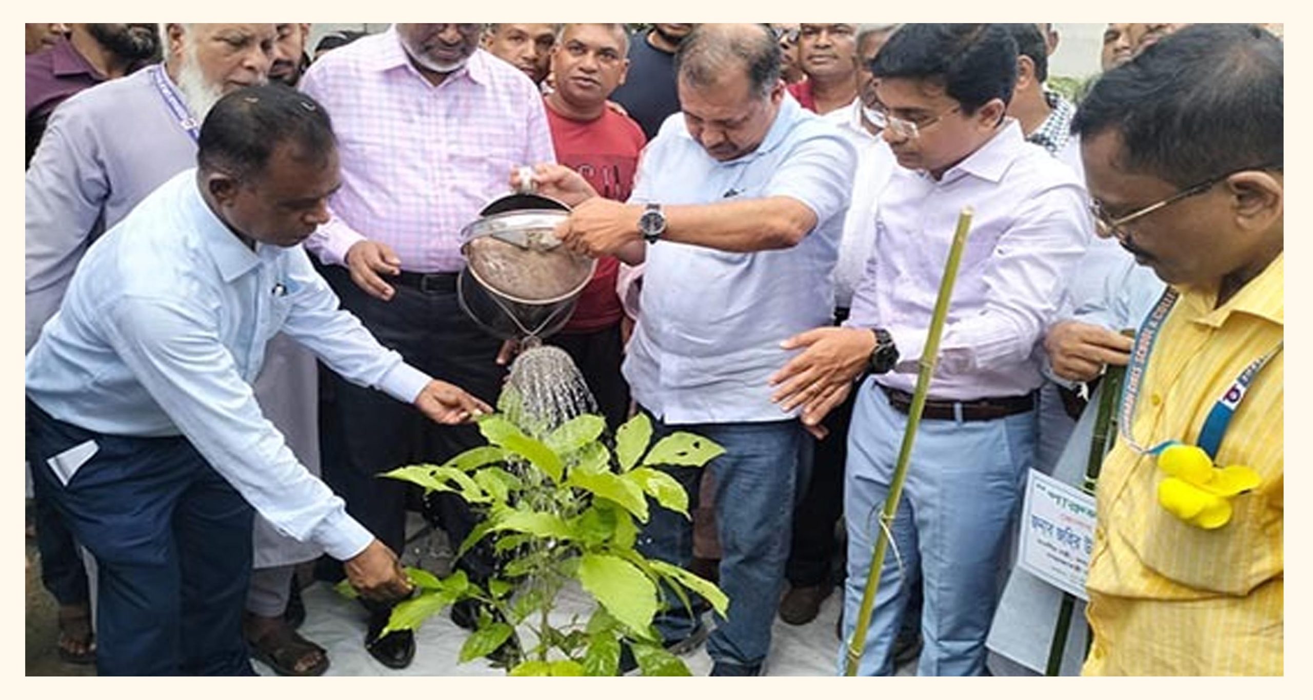 গাছের চারাকে শিশুর মতো লালন-পালন করতে হবে : তথ্যমন্ত্রী