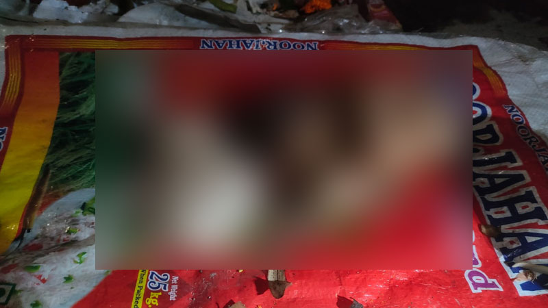 বরিশালে ময়লার স্তুপ থেকে দুই নবজাতকের মরদেহ উদ্ধার