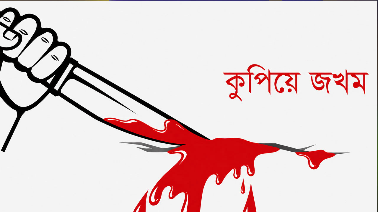  ভাণ্ডারিয়ায় ১০ মামলার আসামি সুমনের পর মা-কেও কুপিয়ে জখম